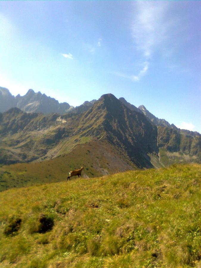 Chalupka U Babicky Villa Zdiar Exterior photo